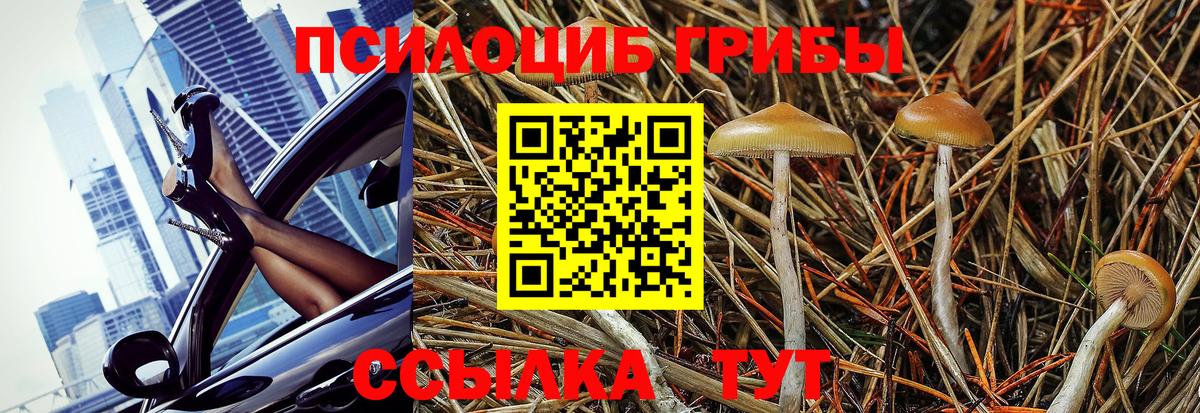 сколько стоит  Галлюциногенные грибы Cubensis  Вход с VPN  Кызыл 