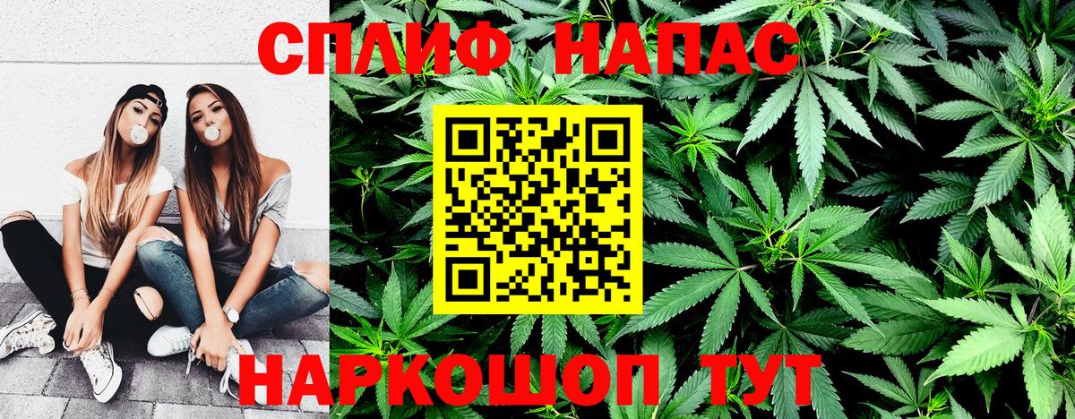 Каннабис индика Кызыл